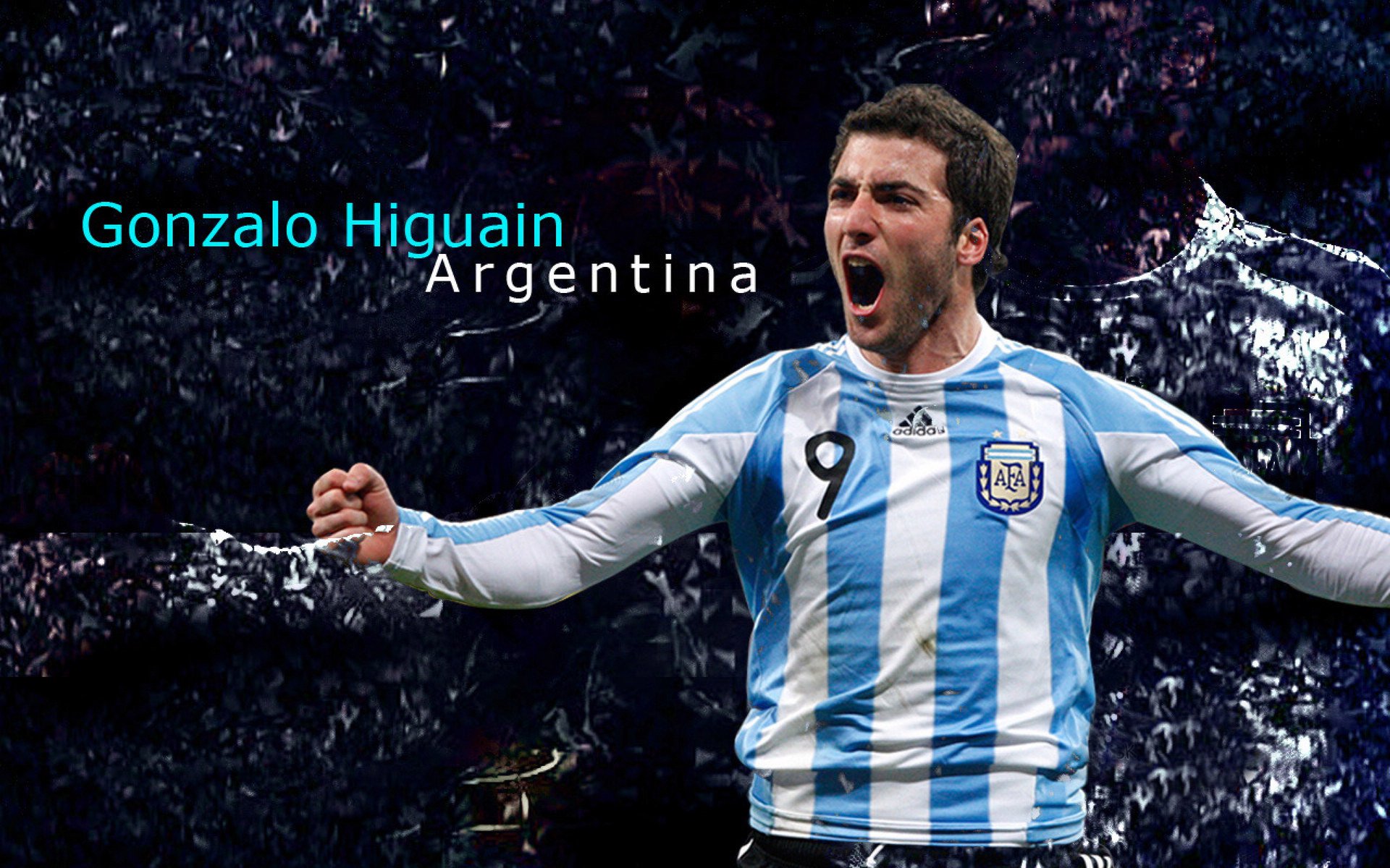 星空综合体育-“阿根廷美洲狮队稳步前行，目标瞄准橄榄球未来”