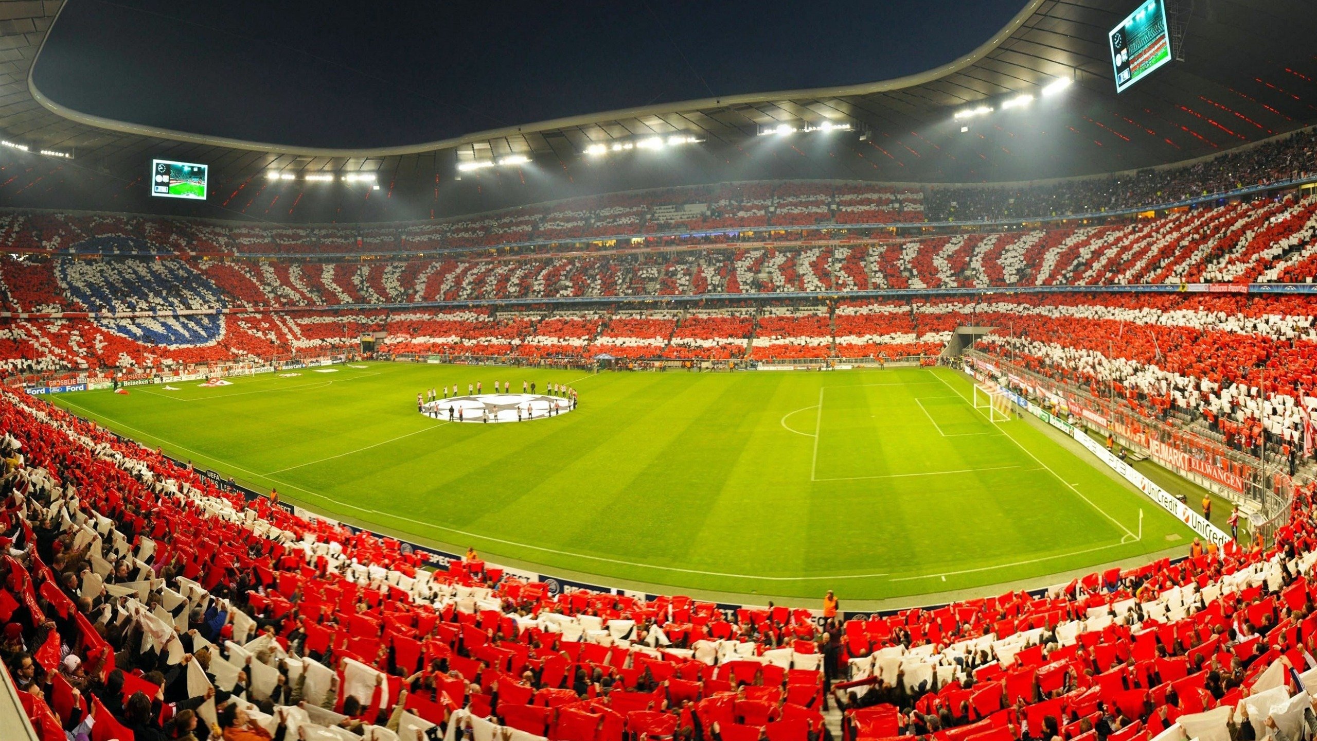 星空综合体育-“阿根廷美洲狮队稳步前行，目标瞄准橄榄球未来”